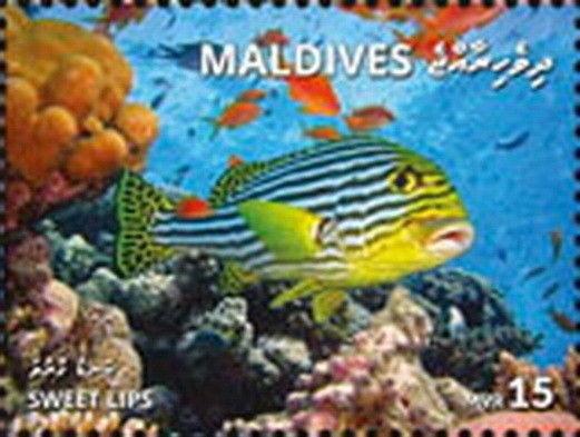 Z08 MLD1801local01a Maldives 2018 Sweet Lips MNH ** Postfrisch