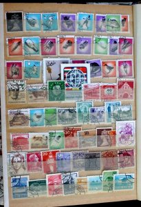 Wordwide Stamp Collection Lot 1000 MNH, MH, Used Vintage Stock Book Album