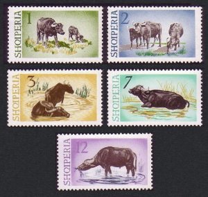 Albania Water Buffaloes 5v 1965 MNH SG#882-886 MI#921-925