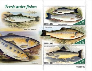 2022 10-SIERRA LEONE - FRESH WATER FISHES       3V  complet set    MNH ** T