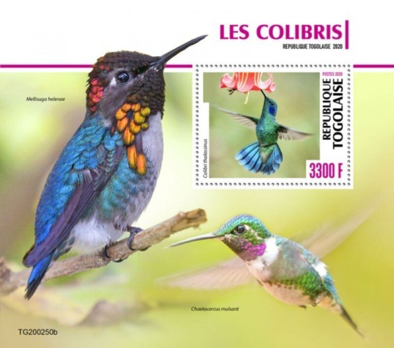 Togo - 2020 Mexican Violetear Hummingbirds - Stamp Souvenir Sheet - TG200250b