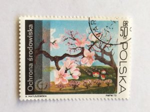 Poland–1973 –Single “Flower” Stamp–SC# 1987 - CTO