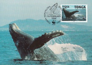 Tonga 1996 Maxicard Sc #918 2.50pa Humpback whale WWF