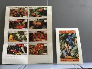 Scotland Eynhallow  Holy Island fruit berries Black Berry   MNH stamps R24012