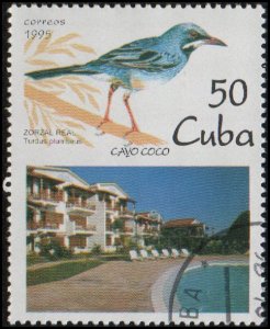 Cuba 3706 - Cto - 50c Red-legged Thrush (1995) (cv $0.60)