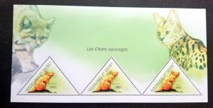 *FREE SHIP Guinea Wild Cats 2011 Fauna Wildlife (ms MNH *odd shape *unusual