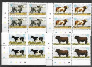 Zambia 418-21 MNH  Cows set cpl. x 10 sets vf.  2022 CV $37.50