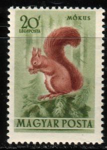 Red Squirrel, Hungary stamp SC#C111 mint
