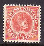 Newfoundland #225 - Scott cat. #57-1/2c orange red Newfoundland dog - unused NH