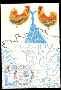 France 1981 Child Watering Smiling Map of France Maxicard