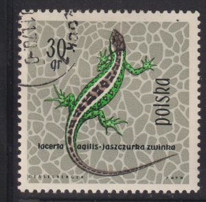 Poland 1134 Sand Lizard 1963