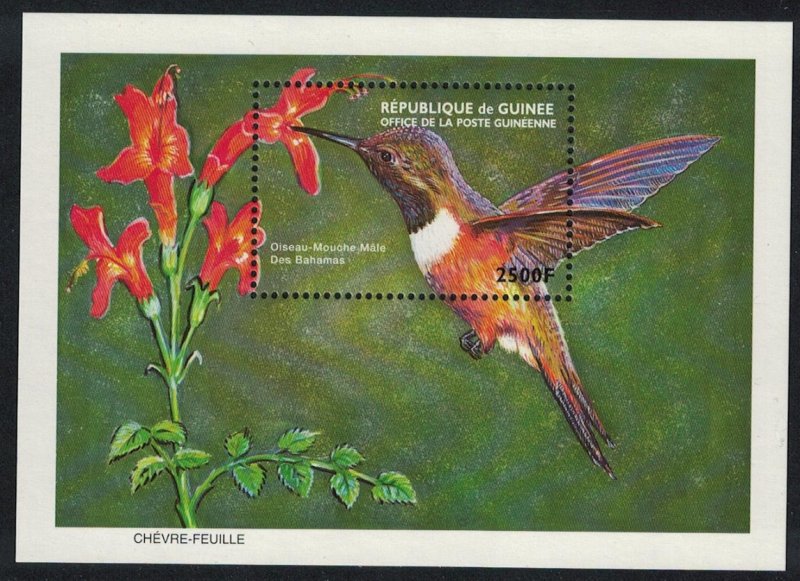 Guinea Bahamas Colibri Hummingbird Bird MS MI#Block 612