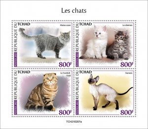 YEAR 2021/09- CHAD - CATS          4V complet set    MNH ** T