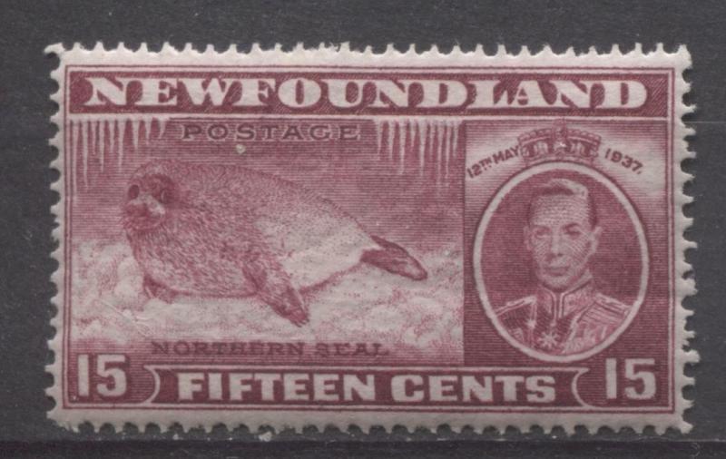 Newfoundland #239 15c Br. Brown Purple 1937 Long Coronation Perf. 14.25 VF-84 OG