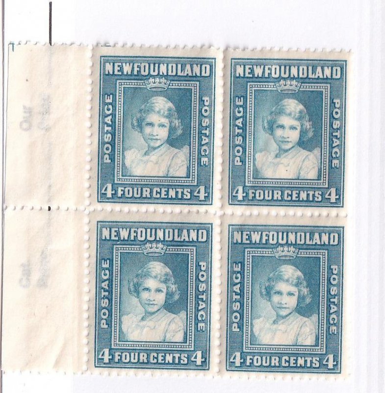 NEWFOUNDLAND PLATE BLOCKS OF 4 PLUS BLOCKS OF 4 CAT VALUE ????? 