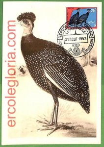 32857 - CONGO - MAXIMUM CARD - 1963 - FAUNA, BIRDS-