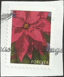 # 4816 USED POINSETTIA