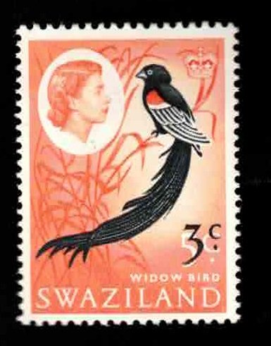 SWAZILAND Scott # 138 MNH - QEII & Widow Bird With Surcharge