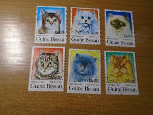 Guinea Bisseau    used  Domestic   Cats