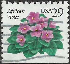 # 2486 USED AFRICAN VIOLETS    