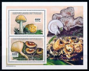 [77175] Tchad Chad 2003 (2002) Mushrooms Champignons Pilze Souvenir Sheet MNH