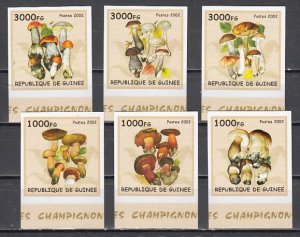 Guinea, 2002 issue. Mushrooms on 6 IMPERF values. # 2.