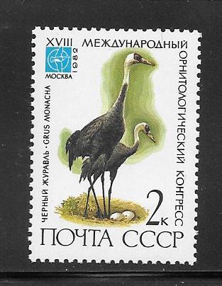 Russia #5050 MNH Single.