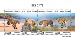 Maldives 2019 MNH Wild Animals Stamps Big Cats Tigers Cheetahs Leopards 4v M/S