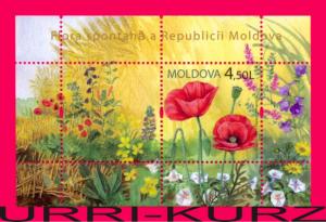 MOLDOVA 2009 Nature Flora Plants Field Meadow Flowers Poppies s-s Mi658 MNH