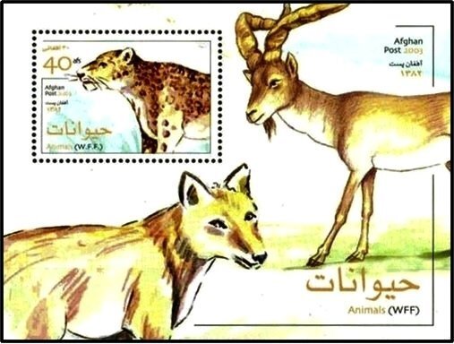 Afghanistan 2003 MNH Stamps Souvenir Sheet Scott 1422 Animals Leopard Antelope