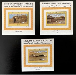 1994 Mauritania Souvenir Sheet Bloc Mi. 1024-B1024 Habitat Rural Architecture-