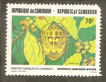 Cameroun   Scott 836    Insect    Used