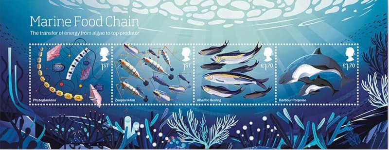 Great Britain 2021 MNH Stamps Souvenir Sheet Wild Coasts Marine Life Fish
