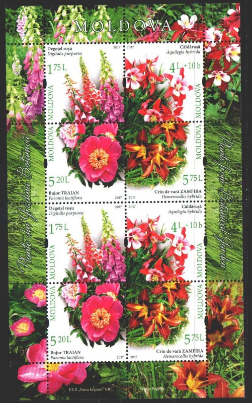 Moldova. 2017. Small sheet 1005-8. Moldavian flora, flowers. MNH.