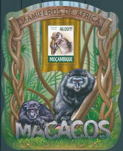 Mozambique 2015 MNH Wild Animals Stamps Monkeys Malbrouck 1v S/S IV