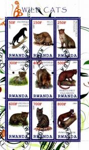 RWANDA - Cats VFU