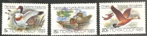 Russia 5783-85 - Mint-NH - Birds/Ducks/Geese (1989) (cv $1.10)