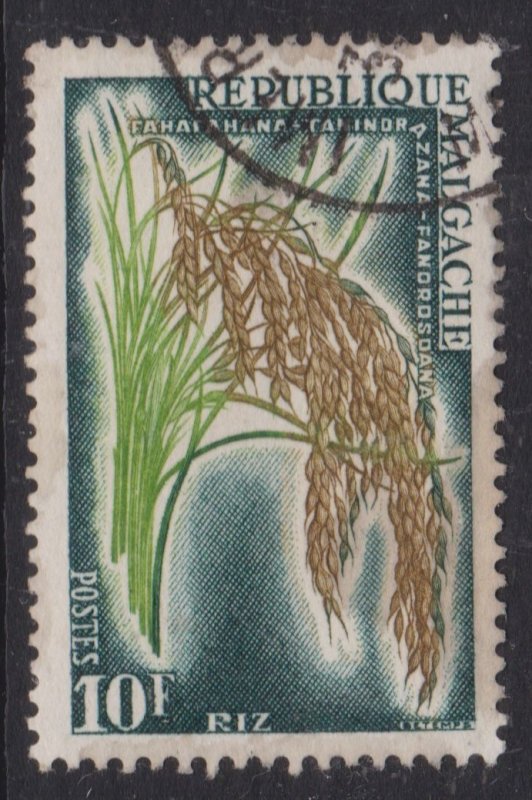 Malagasay 1960 Rice 10f Fine Used SG 15 VGC
