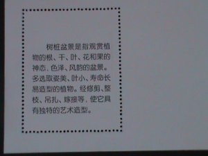 ​CHINA-CHINESE CULTURE DECORATION-BONSAI ARTS -MNH-S/S VERY FINE-LAST ONE