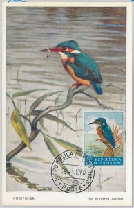 52665 - SAN MARINO - MAXIMUM CARD - ANIMALS KINGFISHER 1960-