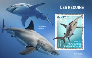 Central Africa - 2019 Sharks on Stamps - Stamp Souvenir Sheet - CA191006b