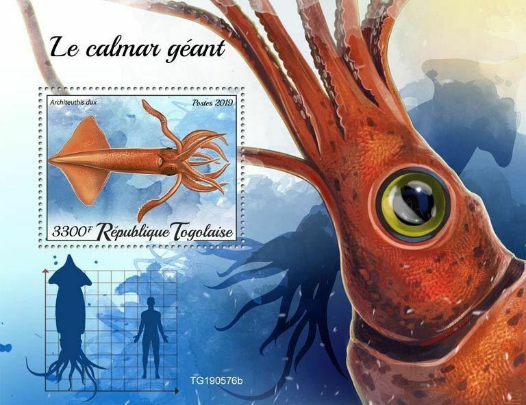 Z08 TG190576b TOGO 2019 Giant squid MNH ** Postfrisch