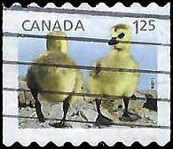 CANADA   #2428 USED (3)