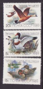 Russia-Sc#5783-5- id8-unused NH set-Birds-Ducks-1989-