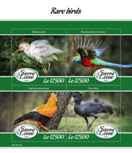 SIERRA LEONE - 2019 - Rare Birds - Perf 4v Sheet - MNH