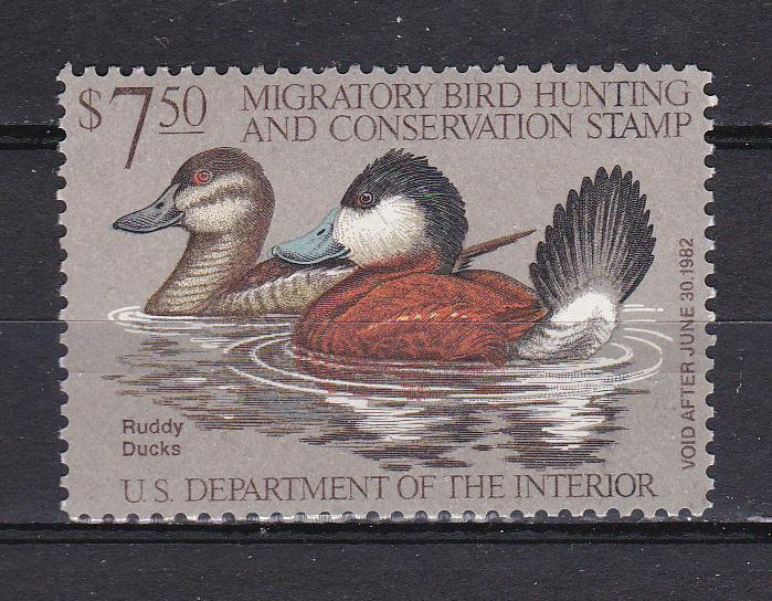 US RW 48 MNH 1981 $7.50  Duck Stamp-Ruddy Ducks CV $18