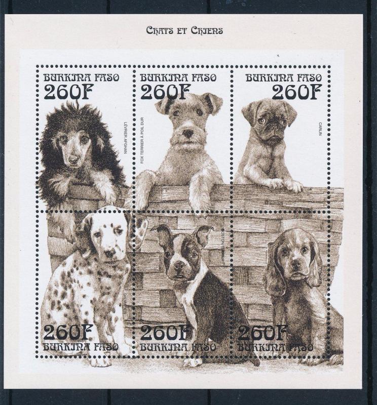 [30128] Burkina Faso 1999 Animals Dogs MNH Sheet