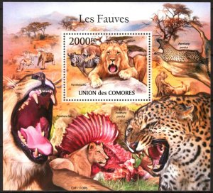 Comoro Islands 2011 Wild Cats Lions S/S MNH