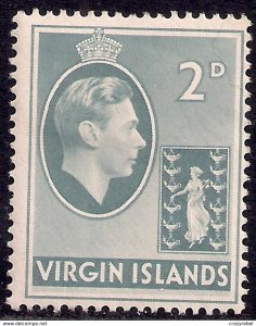 British Virgin Islands 1938 - 47 KGV1 2d Grey MM SG 113a ( E775a )