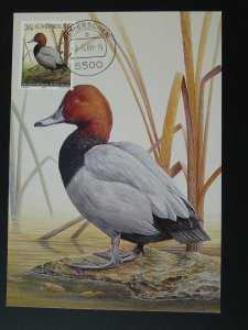bird duck maximum card Luxembourg 2000